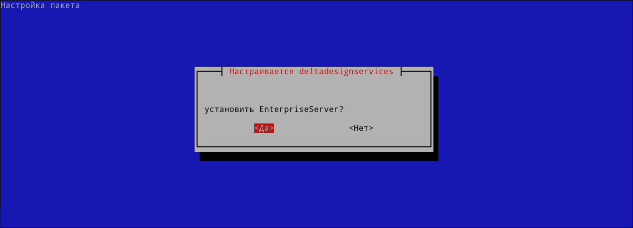 Рис. 5 Пропустить установку Enterprise Server