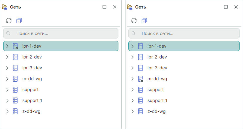 Рис. 2 Панель «Сеть»