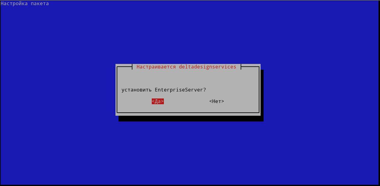 Рис. 5 Подтверждение установки Enterprise Server